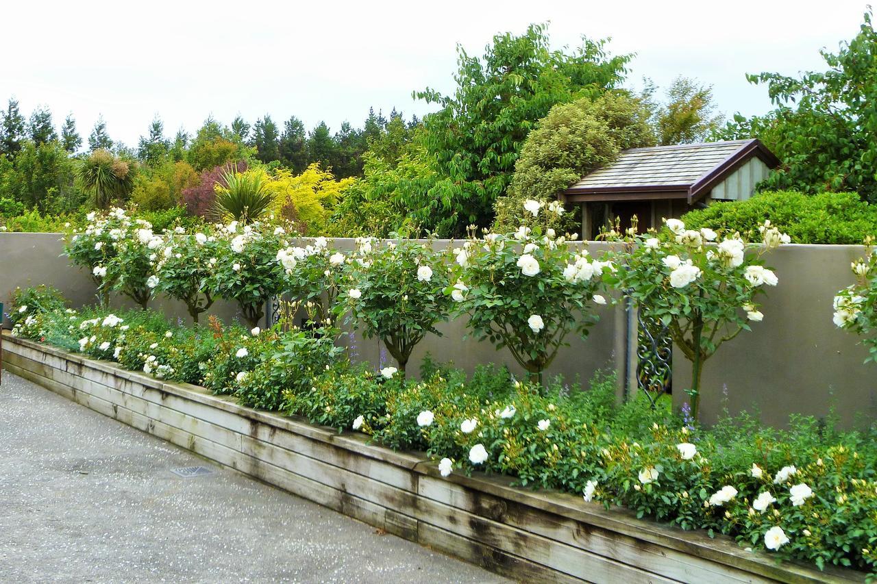 Belle Maison French Country Stay New Plymouth Zewnętrze zdjęcie